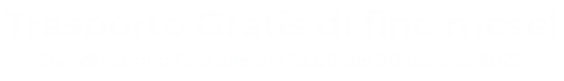 Trasporto Gratis di fine mese! 